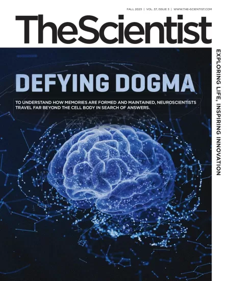 The Scientist-科学家杂志2023年秋季刊下载电子版PDF网盘订阅-外刊兽-英语杂志电子版PDF下载网站