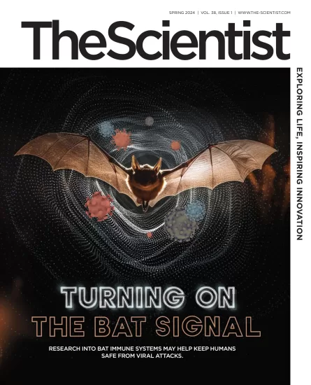 The Scientist-科学家杂志2024年春季刊下载电子版PDF网盘订阅-外刊兽-英语杂志电子版PDF下载网站