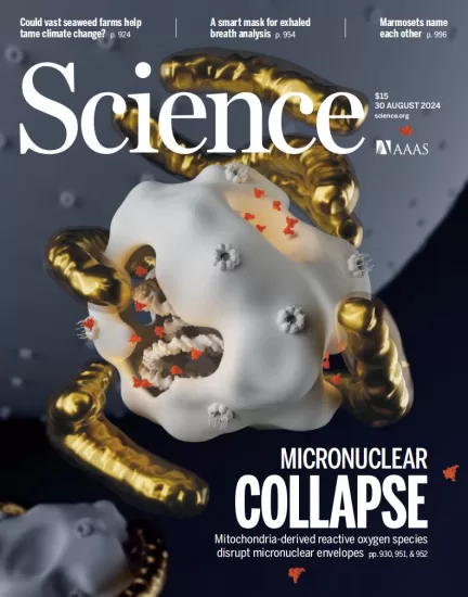 Science-科学杂志2024.08.30期下载电子版PDF网盘NO. 6712订阅-外刊兽-英语杂志电子版PDF下载网站